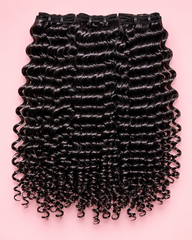 Burmese Curly
